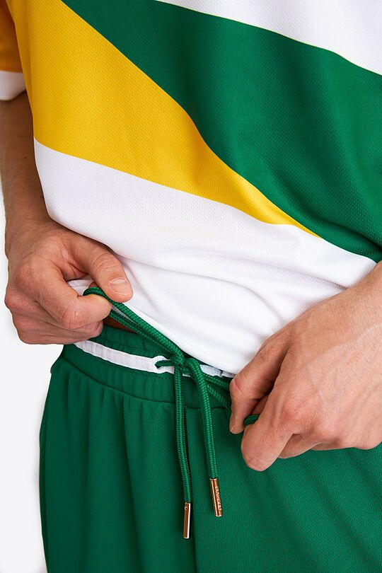 Nacionalinės kolekcijos sportiniai šortai 6 | ŽALIA | Audimas