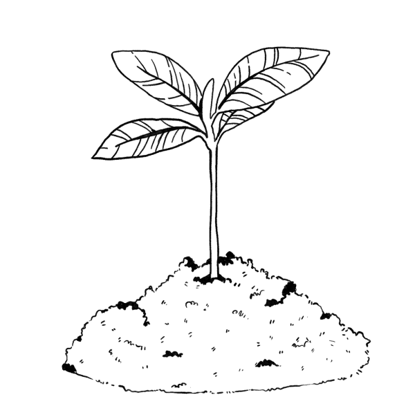 Sąmoningumas