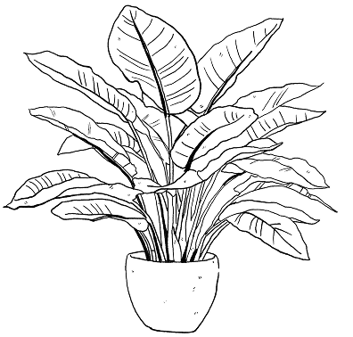 Atsakomybė